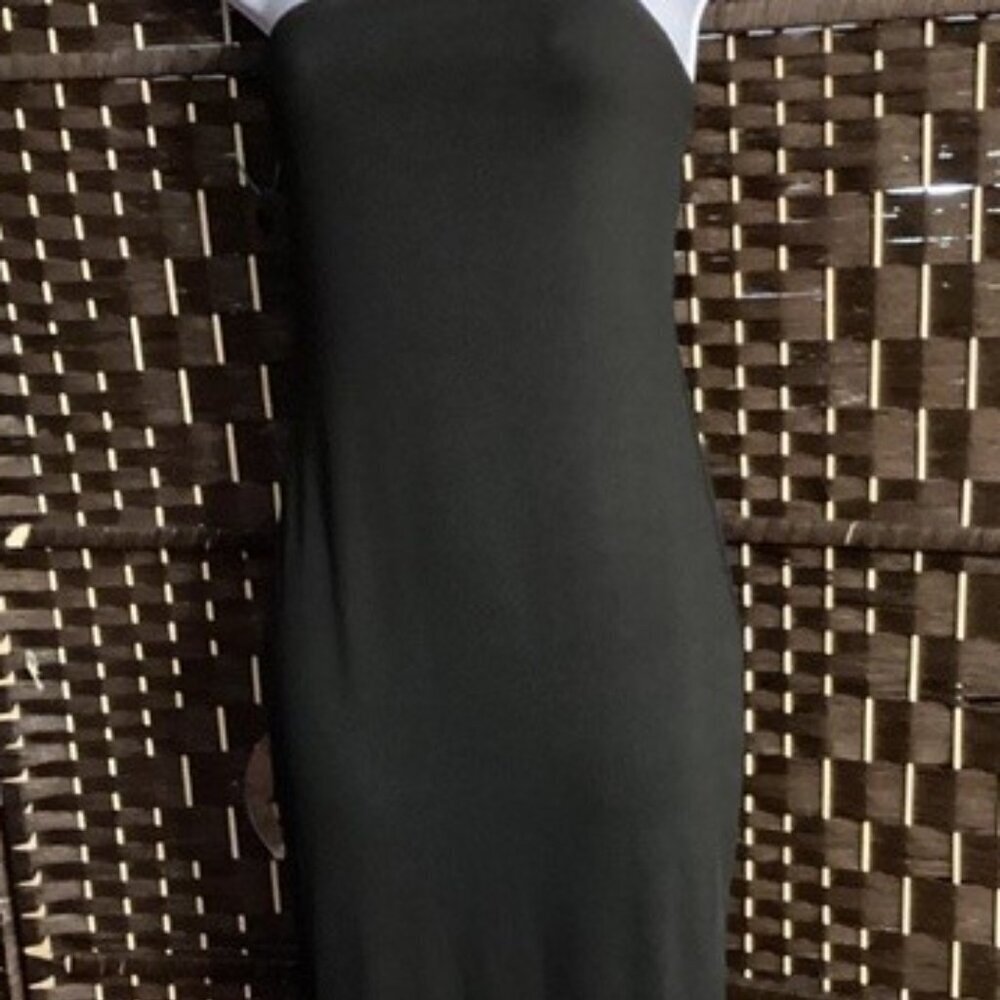 Tube Top Bodycon Tassels Dress